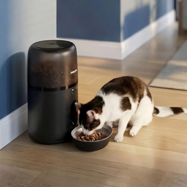 Philips 3000 series PAW3300/02 vandskål og foderautomat til hund og kat Plast Sort Automatisk foderautomat til kæledyr