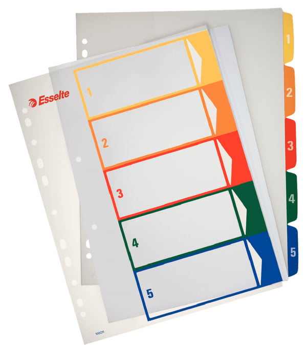 Esselte Register PC printbar PP A4 maxi