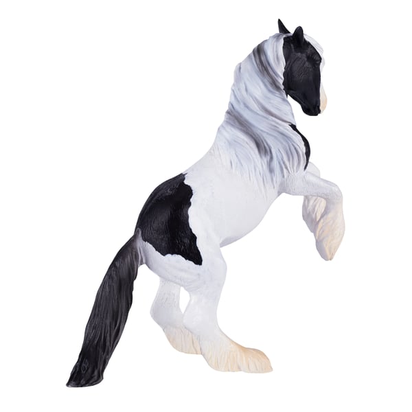 Mojo Fun Irish Cob Stallion