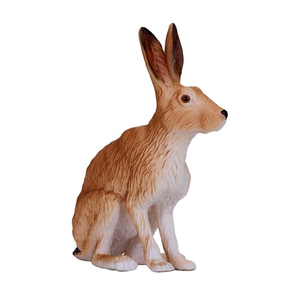 Mojo Fun Hare