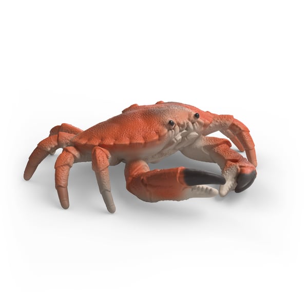 schleich WILD LIFE 42742 lasten leluhahmo