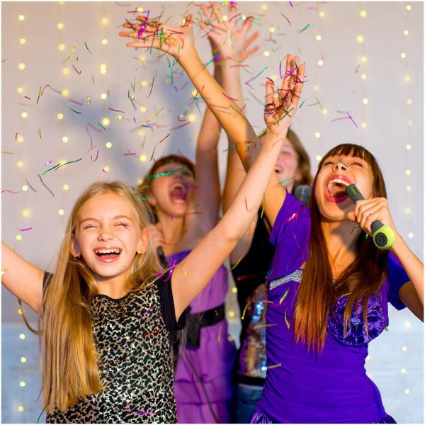 Celly FESTIVALGN karaoke system Bærbar Trådløs