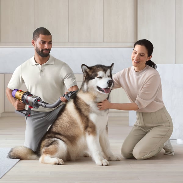 Dyson 972205-01 støvsuger tilbehør & forsyning Tilbehørssæt Håndstøvsuger
