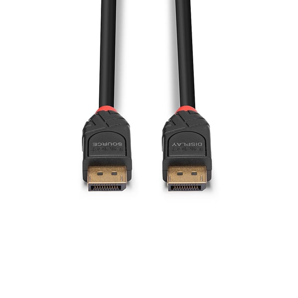 Lindy 41167 DisplayPort kabel 5 m Sort