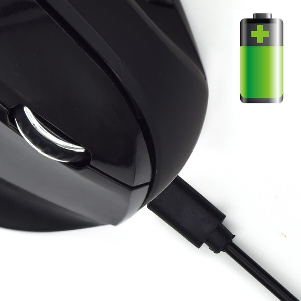 Ewent EW3158 datormöss Kontor Högerhand RF Trådlös 1600 DPI