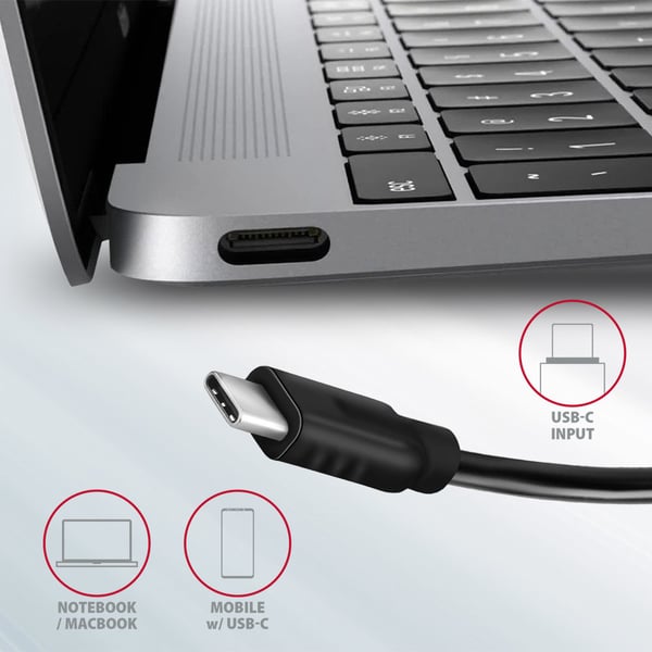 Axagon HMC-4G2 gränssnittshubbar USB 3.2 Gen 2 (3.1 Gen 2) Type-C 10000 Mbit/s Grå