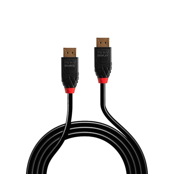 Lindy 41167 DisplayPort kabel 5 m Sort