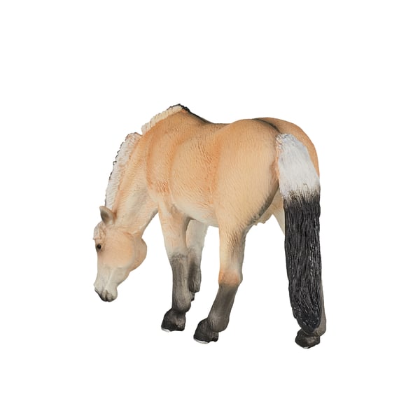 Mojo Fun Fjord Mare