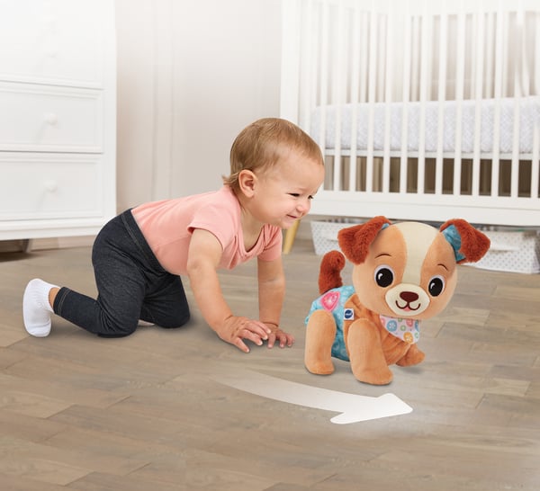 VTech Baby Loop met mij Puppy