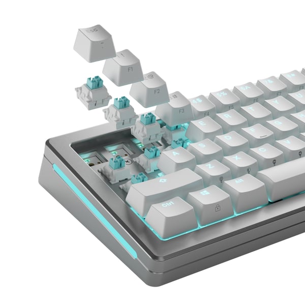 Glorious Gaming GLO-KB-ACC-SWT-LYNX-HE-36 tilbehør til tastatur Tastaturafbrydere