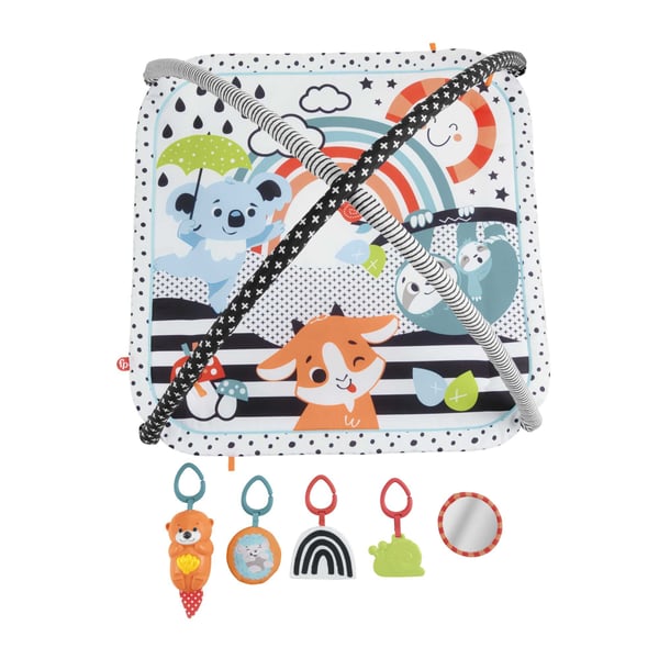 Fisher-Price 3-in-1 Music, Glow and Grow Gym