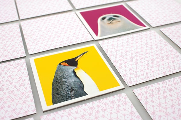 Tactic Wildlife Memo Korttipeli Yhdistelypeli