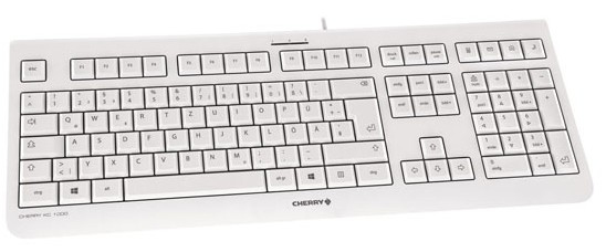 CHERRY KC 1000 tangentbord Hem USB schweizisk Grå