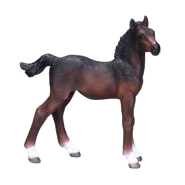 Mojo Fun Hanoverian Foal Bay