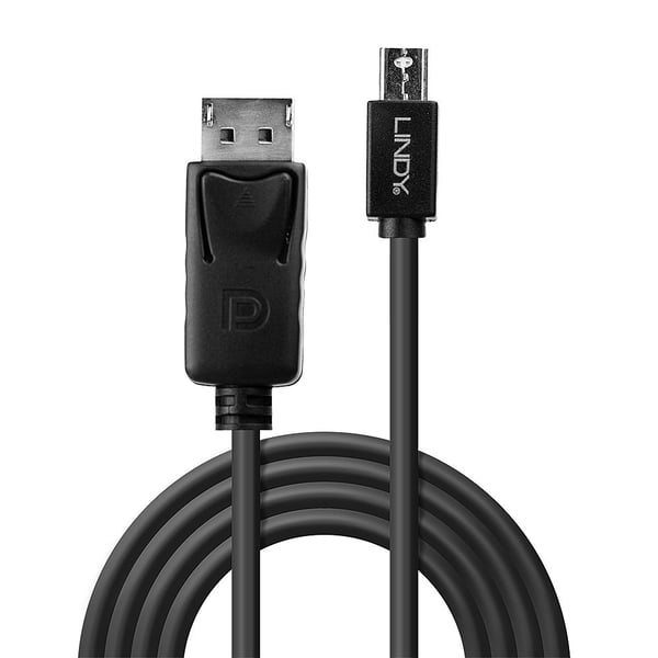 Lindy 41646 DisplayPort kabel 2 m Mini DisplayPort Sort