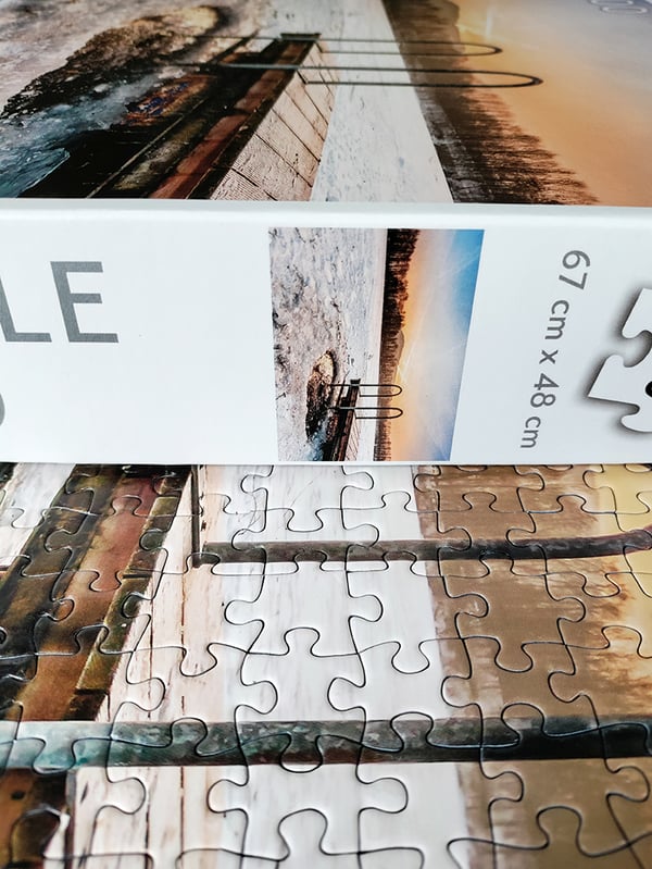 Tactic Puzzle Lovers Winter Swimming 1000 palan palapeli