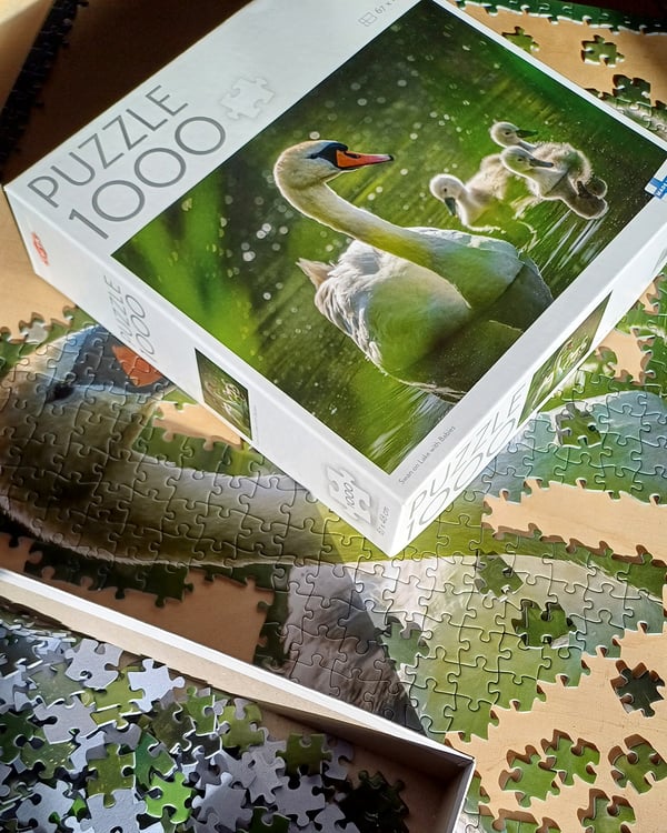 Tactic Puzzle Lovers Swan on Lake with Babies 1000 palan palapeli