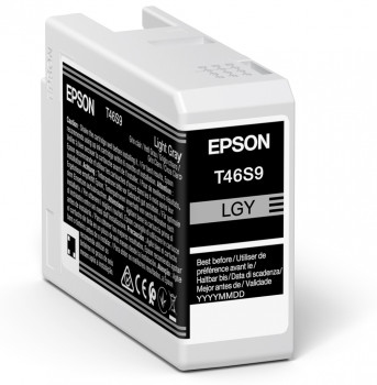 Epson UltraChrome Pro mustekasetti 1 kpl Alkuperäinen Perusvärintuotto Harmaa