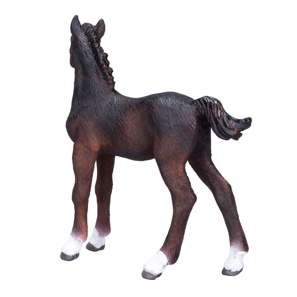Mojo Fun Hanoverian Foal Bay