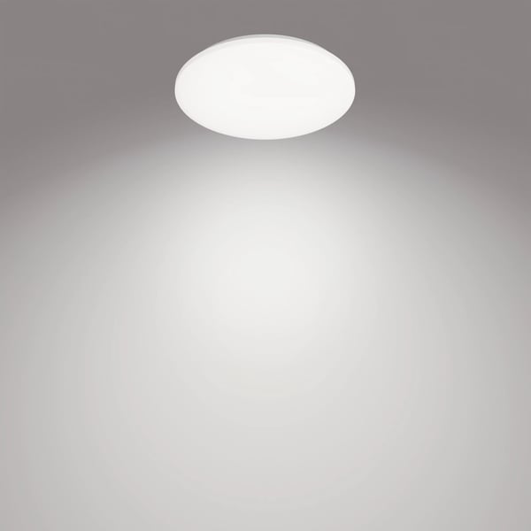 Philips Funktionel Izso loftslampe, 40 W