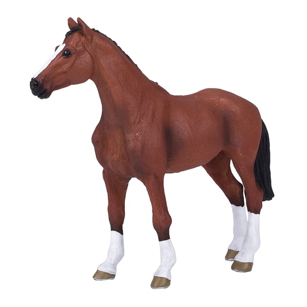 Mojo Fun Dutch Warmblood (Portugal)