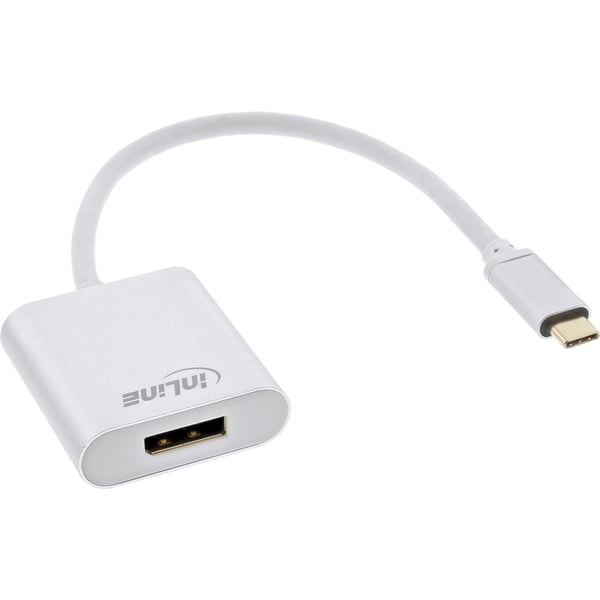 InLine 64102S videokabeladapter 0,2 m USB Type-C DisplayPort Silver