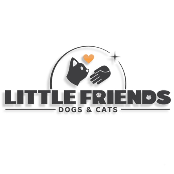 Nintendo Little Friends: Dogs and Cats Vakio Monikielinen Nintendo Switch