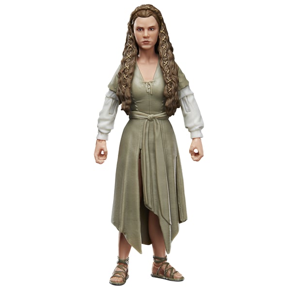 Star Wars The Black Series F43525X0 toy figure