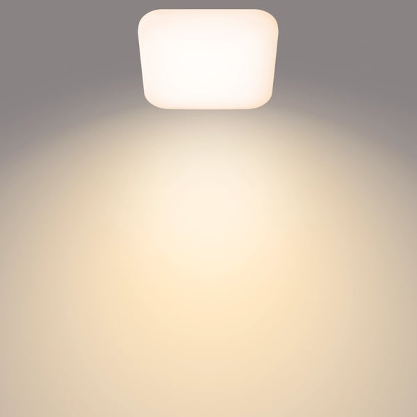 Philips Funktionel Loftslampe