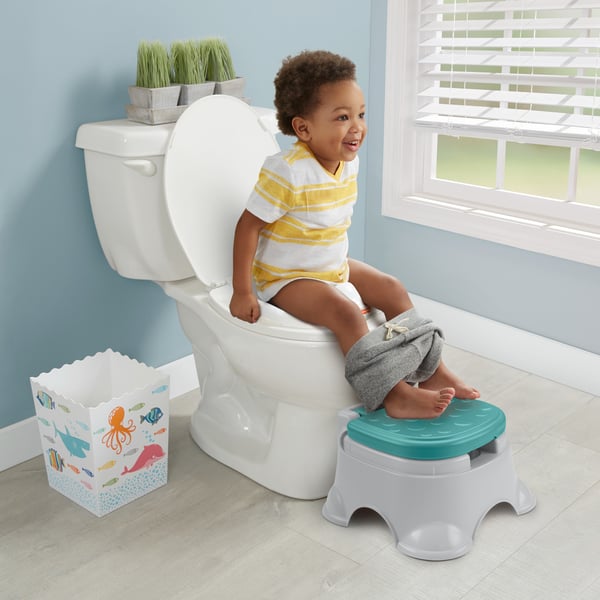 Fisher-Price 3-in-1 Potty