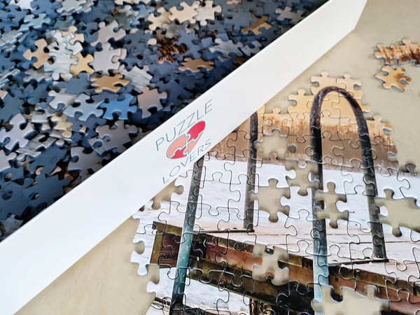 Tactic Puzzle Lovers Winter Swimming 1000 palan palapeli