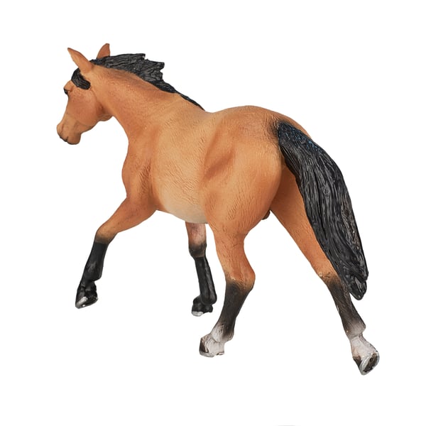 Mojo Fun Quarter Horse Buckskin
