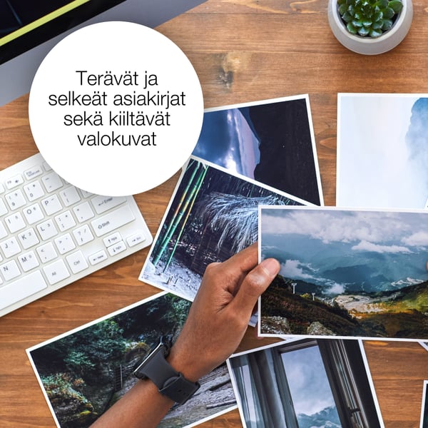 Epson 29 Muste Mansikka Yksittäinen, Vakio, syaani