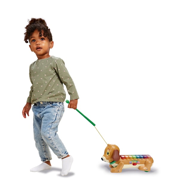 VTech Timmie Teckel Xylofoon