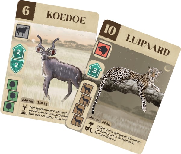 Asmodee Kavango Lautapeli