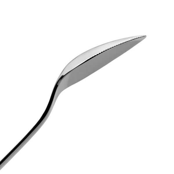 WMF 4000530679871 sked Grapefruktssked Rostfritt stål 2 styck