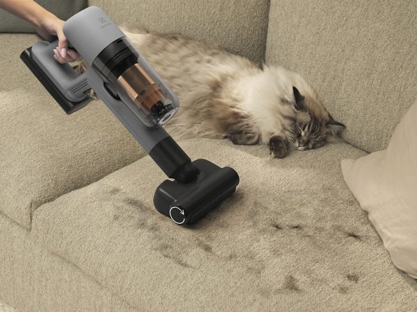 Electrolux EP72AB21UG rikkaimuri Harmaa Pussiton