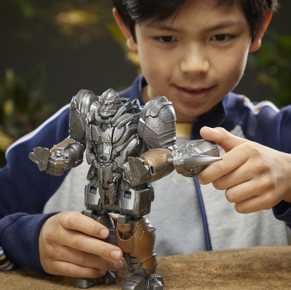 Transformers F46435X0 tansformer-lelu
