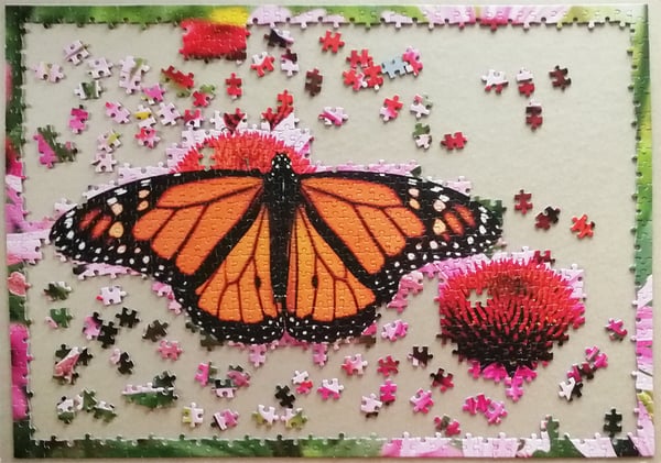 Tactic Monarch Butterfly 1000 pcs Kuviopalapeli 1000 kpl Eläimet