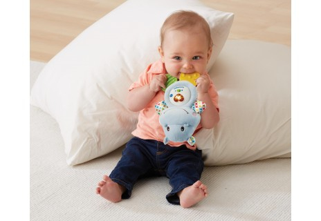 VTech Baby 80-502504 utbildningsleksaker