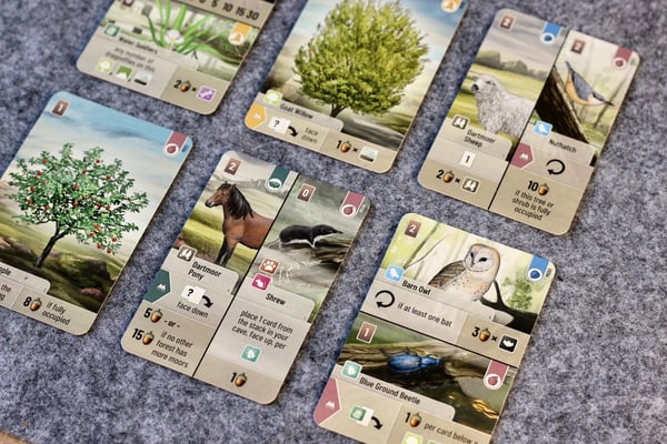 Asmodee Forest Shuffle Dartmoor Forest Shuffle Dartmoor Kortspil