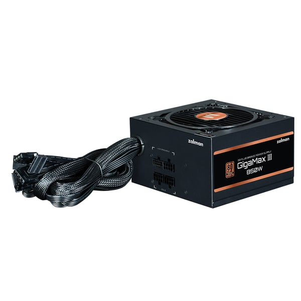 Zalman GigaMax III strömförsörjningsenheter 850 W ATX Svart