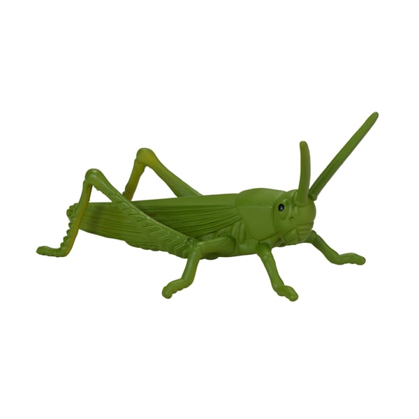 Mojo Fun Insects and Spider set 12pcs