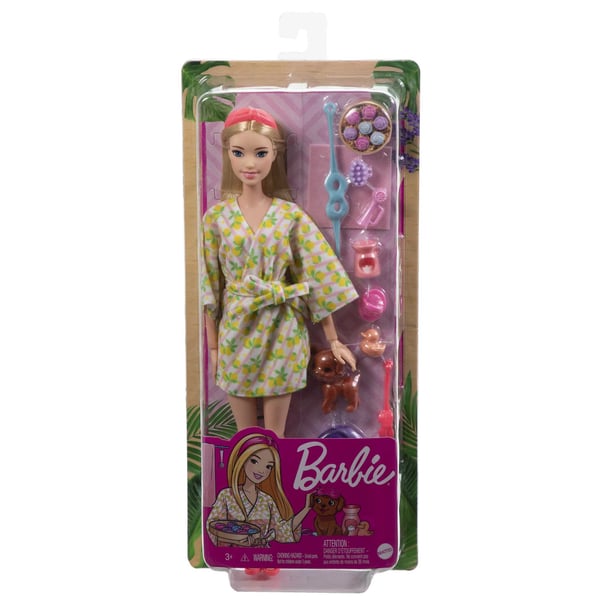 Barbie Fashionistas Doll and Accessories