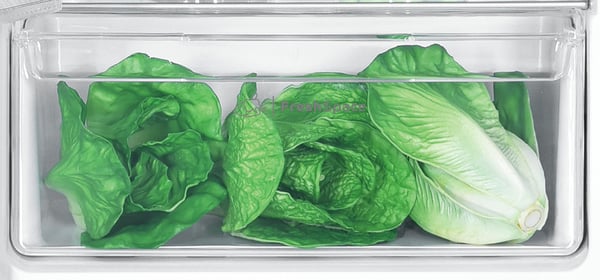 Indesit IN D 2040 E Kiinteä 205 L Valkoinen