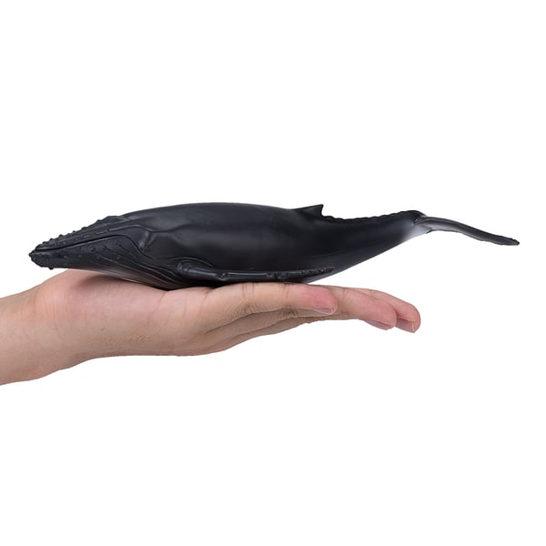Mojo Fun Humpback Whale