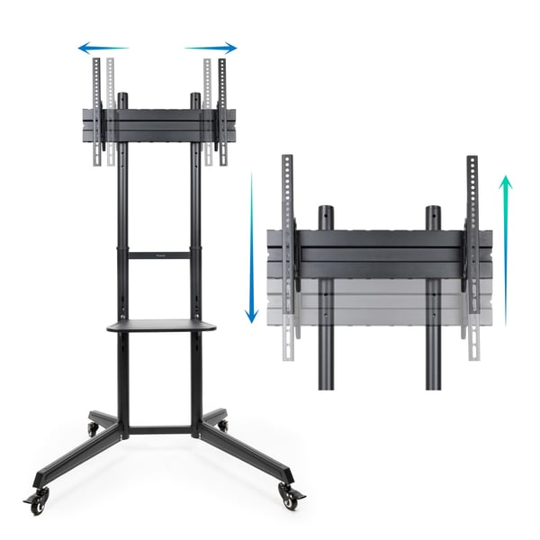 TooQ Ramsés 177,8 cm (70") Svart