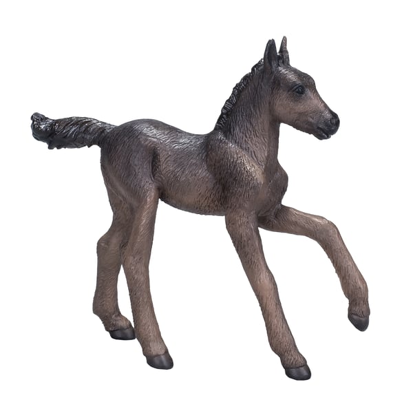 Mojo Fun Arabian Foal Black