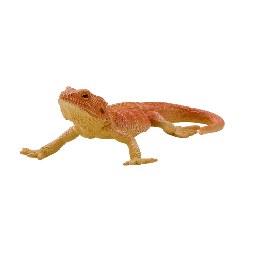 Mojo Fun Bearded Dragon