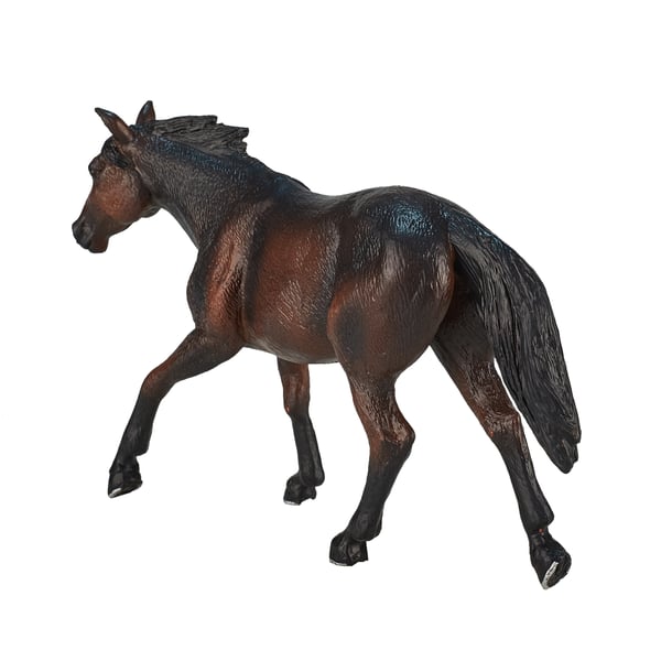Mojo Fun Quarter Horse Sooty Bay